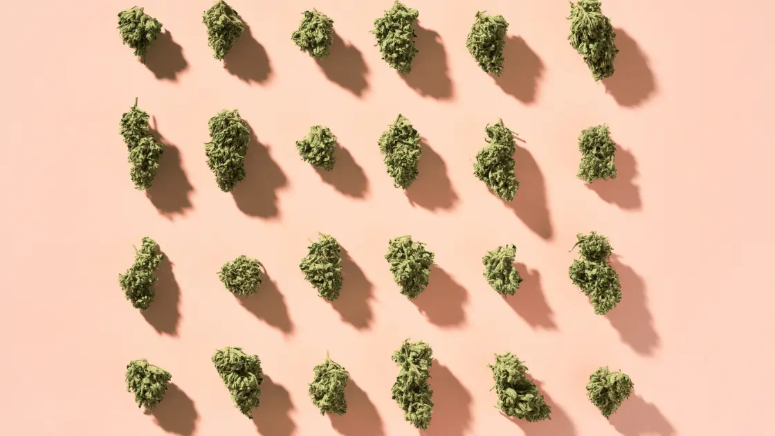 Organic cannabis buds displayed on a textured surface, representing the premium quality offered by The Farmhouse Cannabis Co. in Burlington